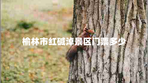 榆林市红碱淖景区门票多少