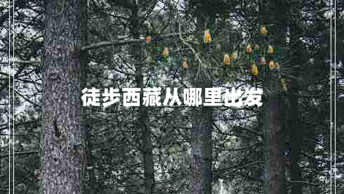 徒步西藏从哪里出发