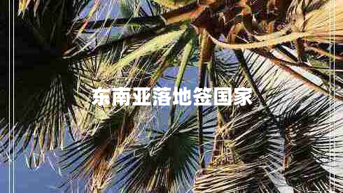 东南亚落地签国家