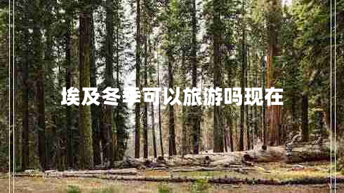 埃及冬季可以旅游吗现在