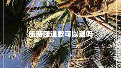 旅游团退款可以退吗