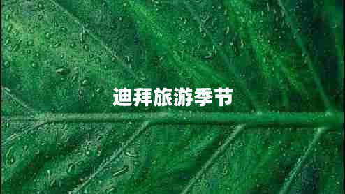 迪拜旅游季节