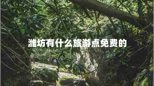 潍坊有什么旅游点免费的