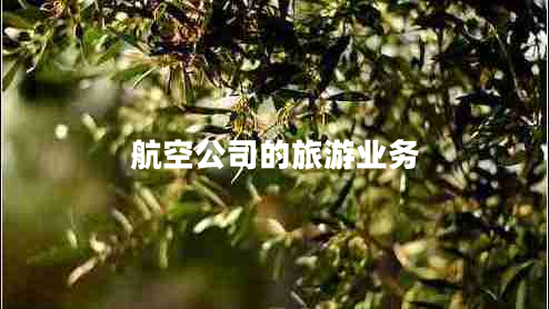 航空公司的旅游业务