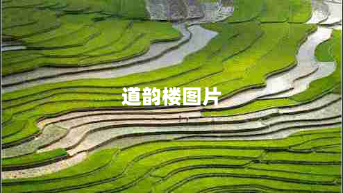 道韵楼图片