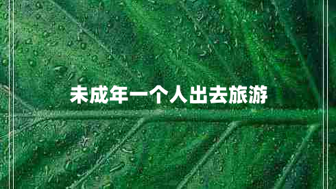 未成年一个人出去旅游