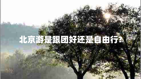 北京游是跟团好还是自由行?