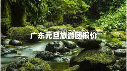 广东元旦旅游团报价