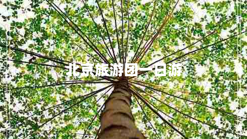 北京旅游团一日游