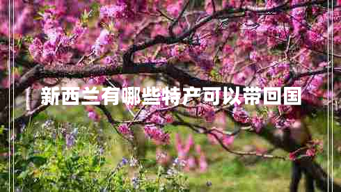 新西兰有哪些特产可以带回国