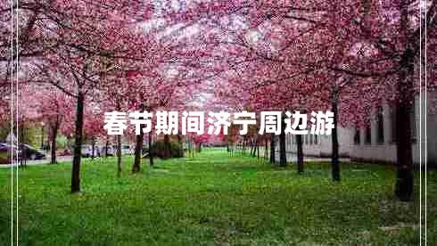 春节期间济宁周边游
