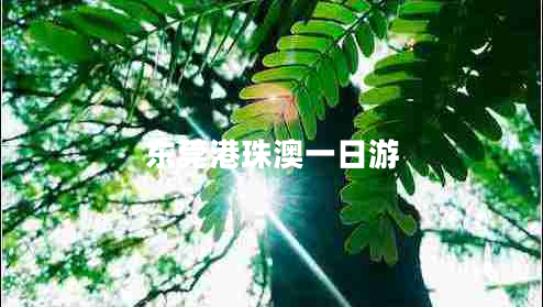 东莞港珠澳一日游