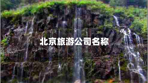 北京旅游公司名称