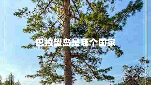 巴拉望岛是哪个国家