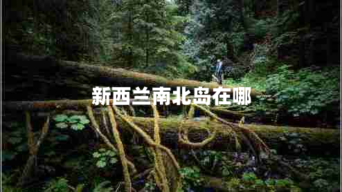 新西兰南北岛在哪