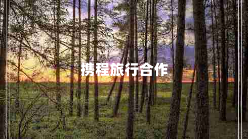携程旅行合作