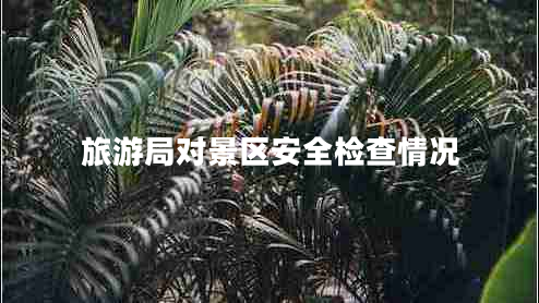 旅游局对景区安全检查情况
