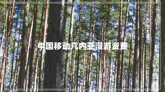 中国移动几内亚漫游资费