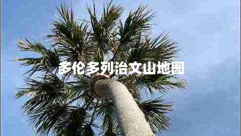 多伦多列治文山地图