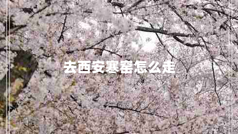 去西安寒窑怎么走