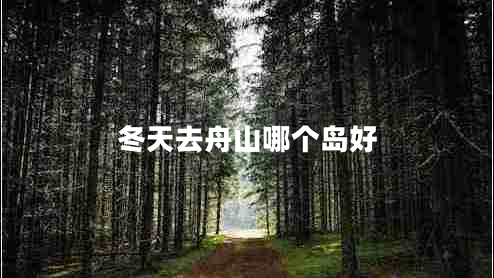 冬天去舟山哪个岛好
