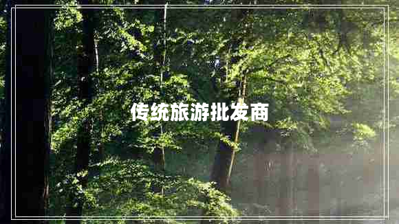 传统旅游批发商