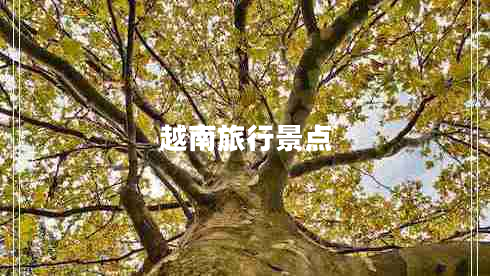 越南旅行景点