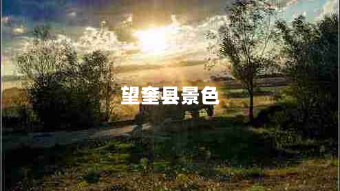 望奎县景色