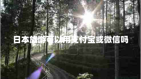 日本旅游可以用支付宝或微信吗