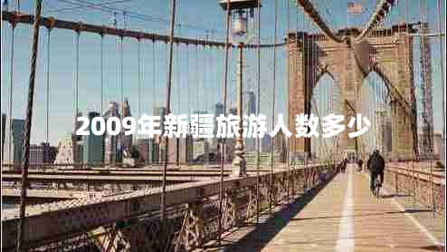 2009年新疆旅游人数多少