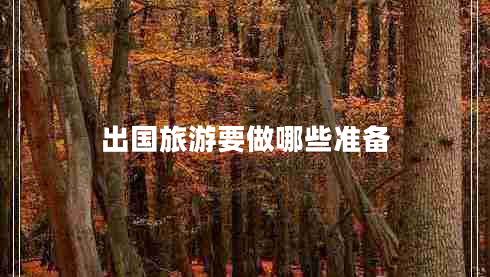 出国旅游要做哪些准备
