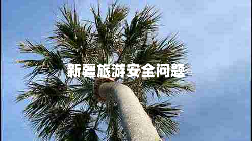 新疆旅游安全问题