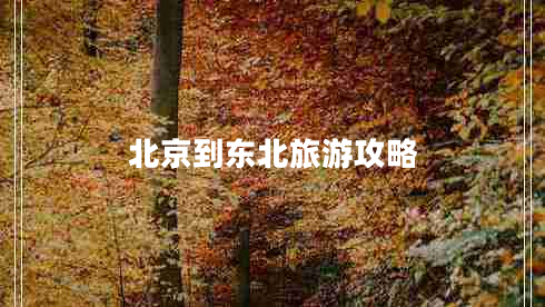 北京到东北旅游攻略