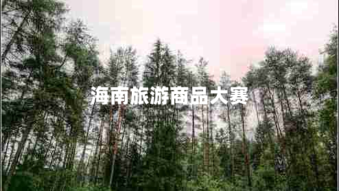 海南旅游商品大赛