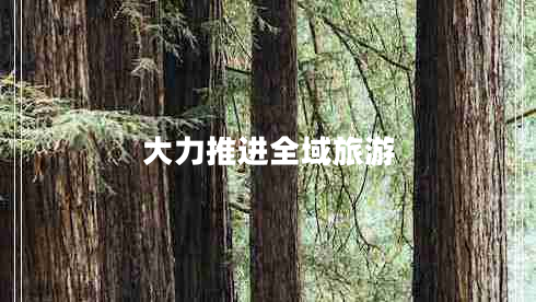 大力推进全域旅游