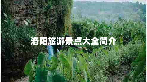洛阳旅游景点大全简介