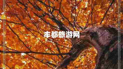 丰都旅游网