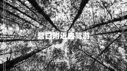 营口附近自驾游