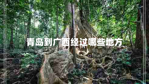 青岛到广西经过哪些地方