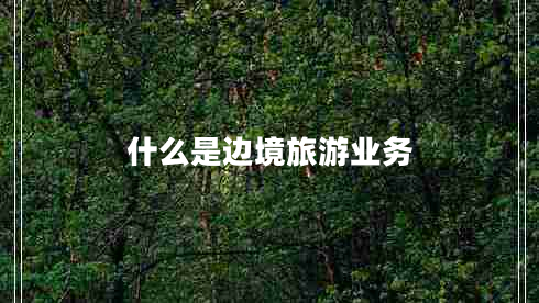 什么是边境旅游业务