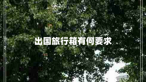 出国旅行箱有何要求