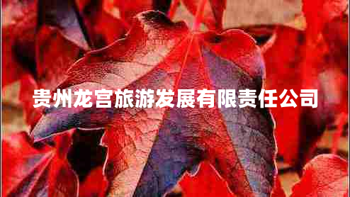 贵州龙宫旅游发展有限责任公司