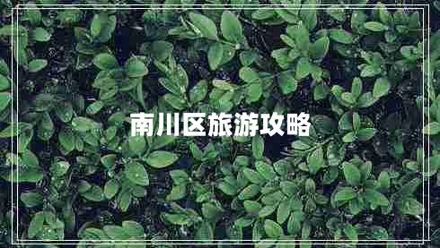 南川区旅游攻略