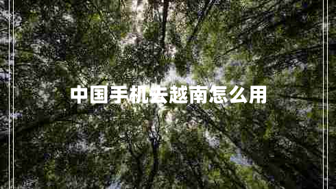 中国手机去越南怎么用