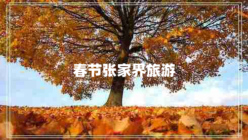 春节张家界旅游