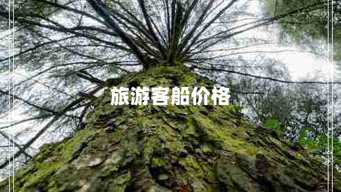 旅游客船价格