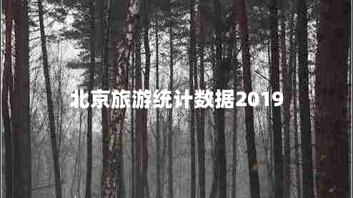 北京旅游统计数据2019