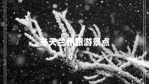 冬天兰州旅游景点