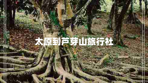太原到芦芽山旅行社
