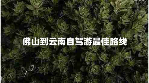 佛山到云南自驾游最佳路线